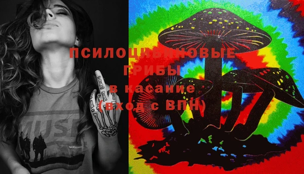 ECSTASY Армянск
