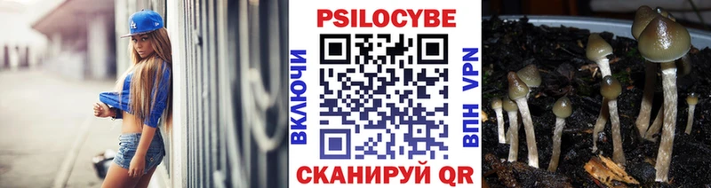 Купить где  Тутаев  Галлюциногенные грибы Psilocybe 